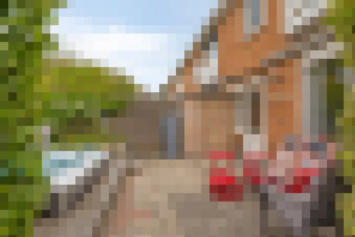 Cattepoelseweg 325 Arnhem thumbnail 25