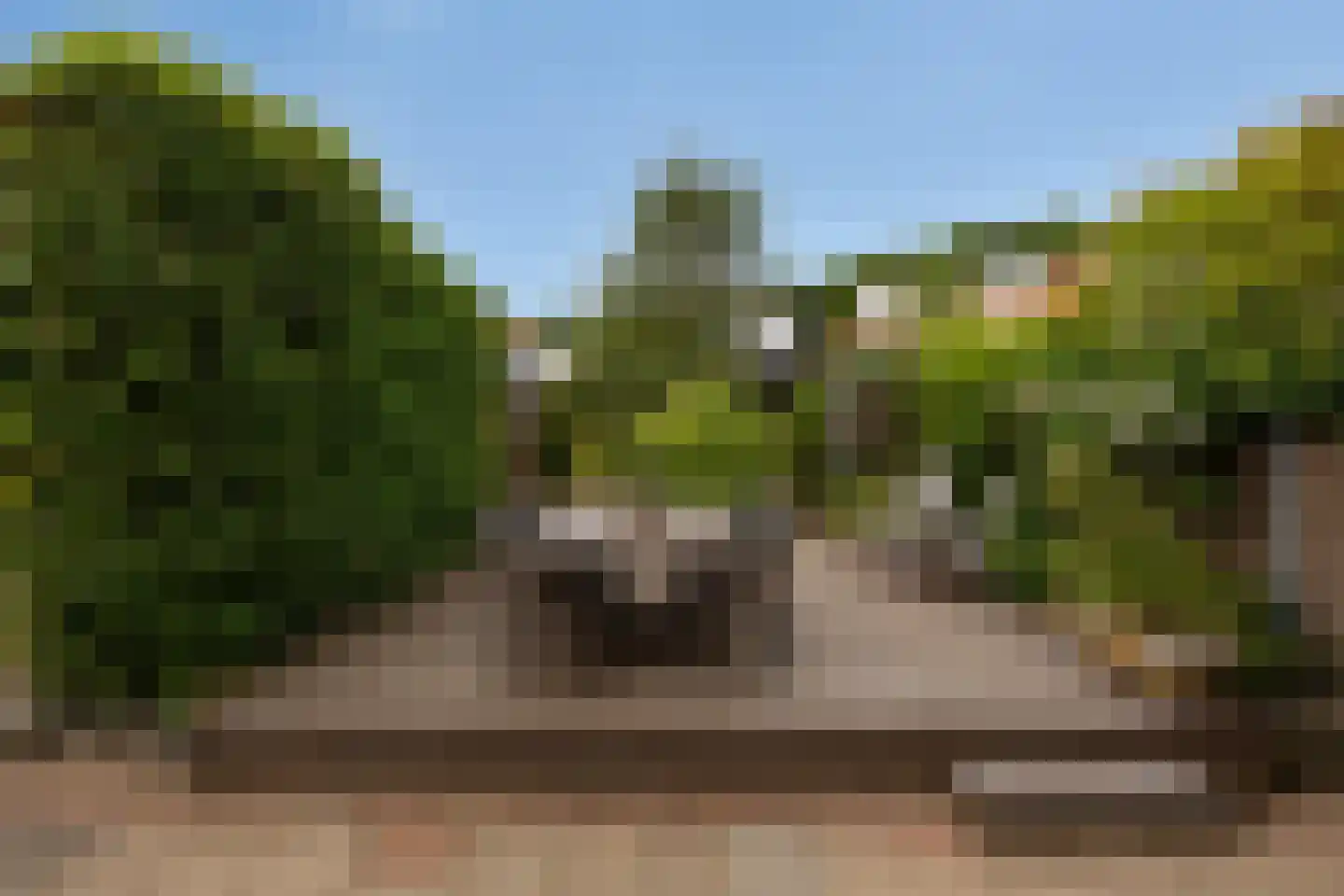 Cattepoelseweg 325 Arnhem thumbnail 28