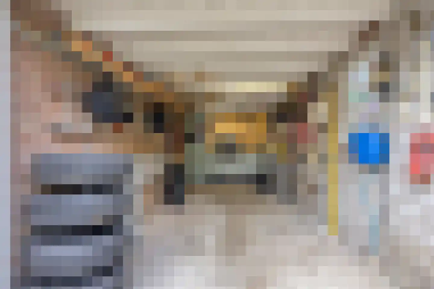 Cattepoelseweg 325 Arnhem thumbnail 30