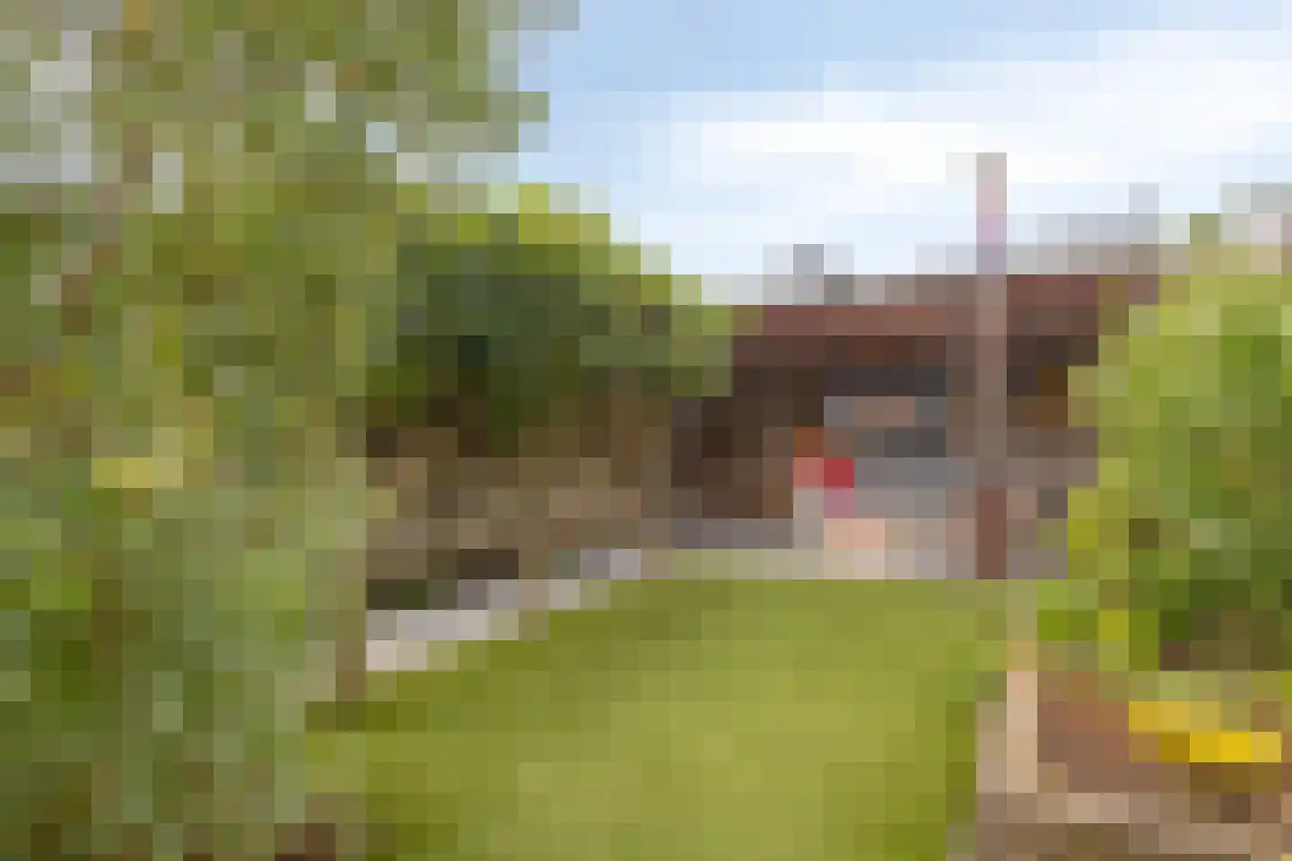 Cattepoelseweg 325 Arnhem thumbnail 33