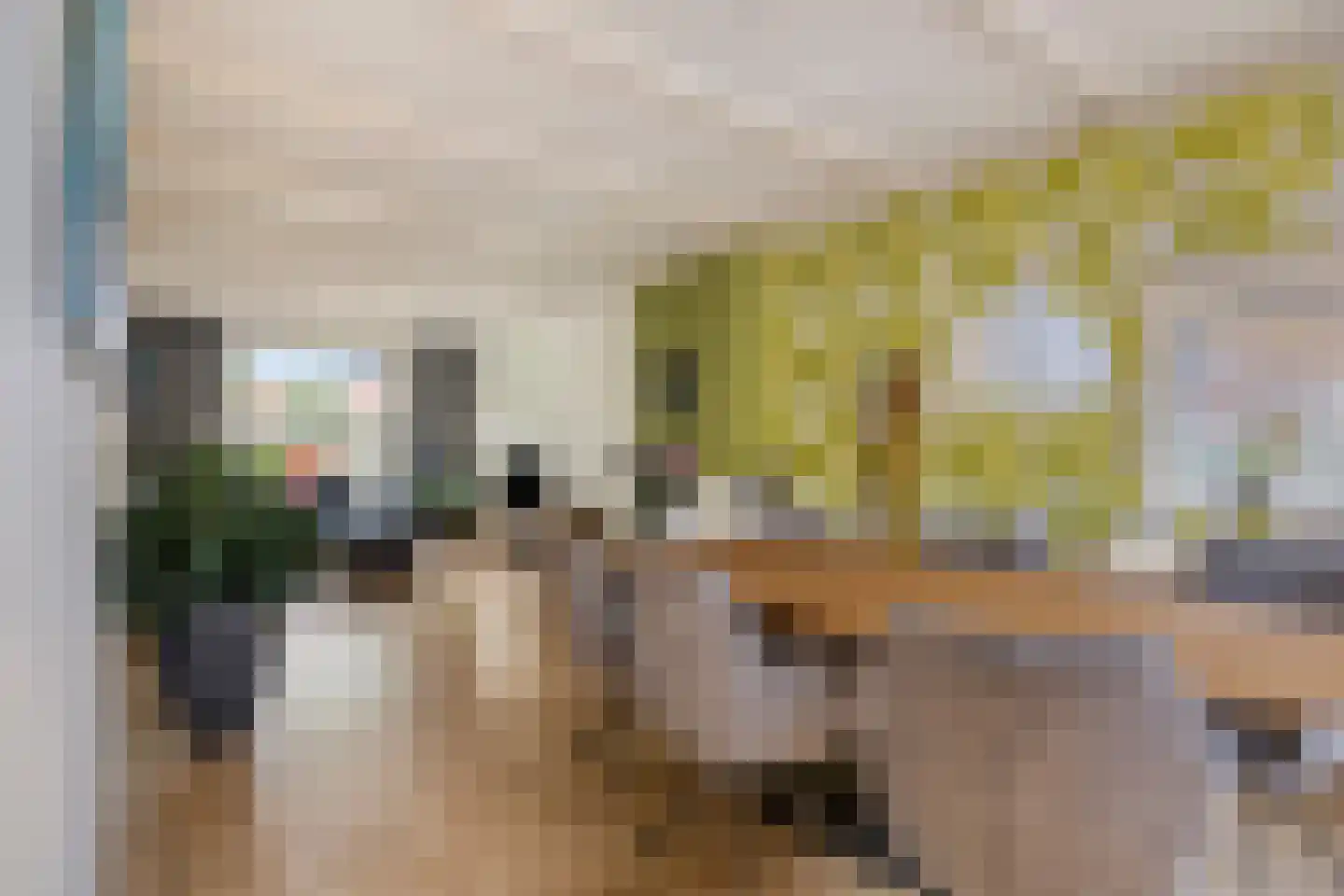 Cattepoelseweg 325 Arnhem thumbnail 7