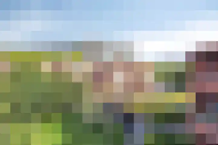 Cauberg 123 Capelle aan den IJssel thumbnail 5