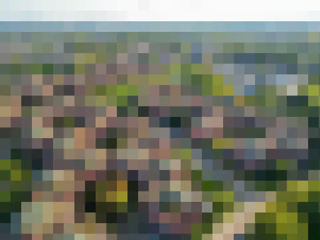 Cauberg 124 Capelle aan den IJssel thumbnail 33