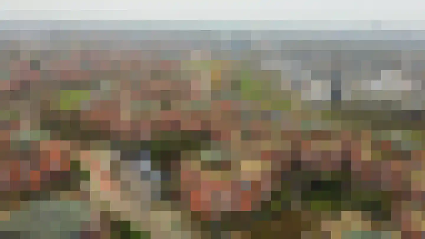 Cauberg 124 Capelle aan den IJssel thumbnail 45