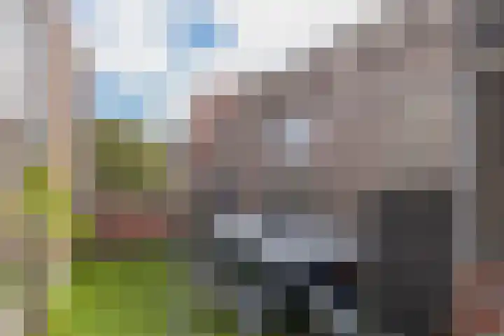 Cauberg 153 Capelle aan den IJssel thumbnail 26