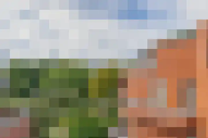 Cauberg 153 Capelle aan den IJssel thumbnail 30
