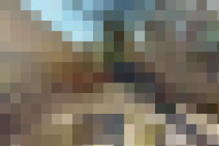 Cauberg 17 Valkenburg thumbnail 19
