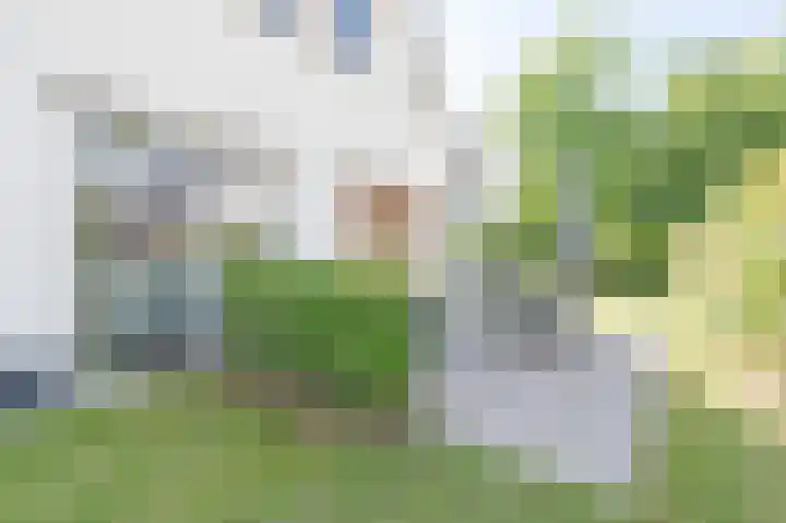 Cauberg 29 164 Valkenburg thumbnail 28