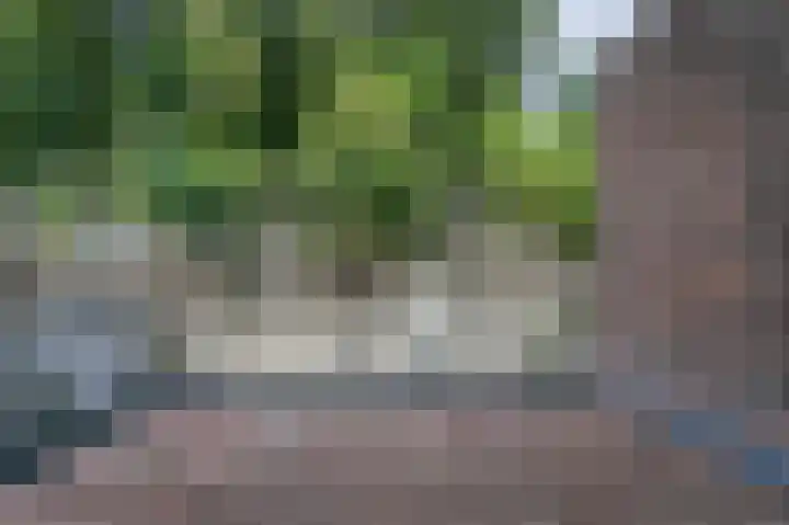 Cauberg 8 B Valkenburg thumbnail 7