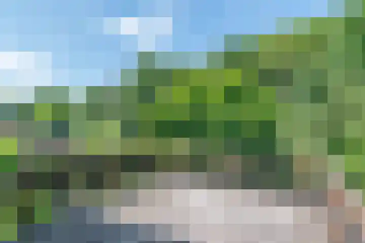 Cauberg 8 Zoetermeer thumbnail 36