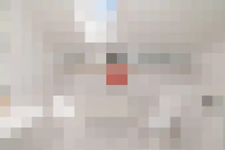 Cauberg 8 Zoetermeer thumbnail 38
