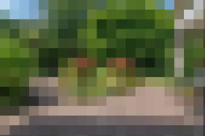 Cauberg 8 Zoetermeer thumbnail 42