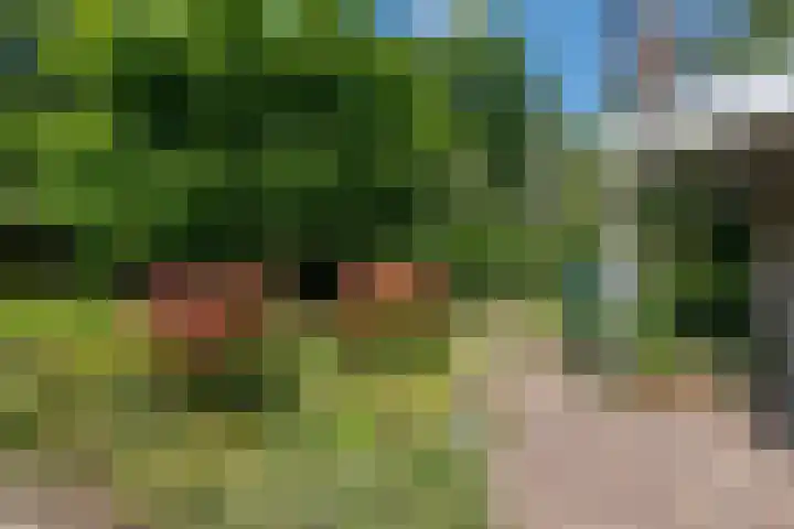 Cauberg 8 Zoetermeer thumbnail 43