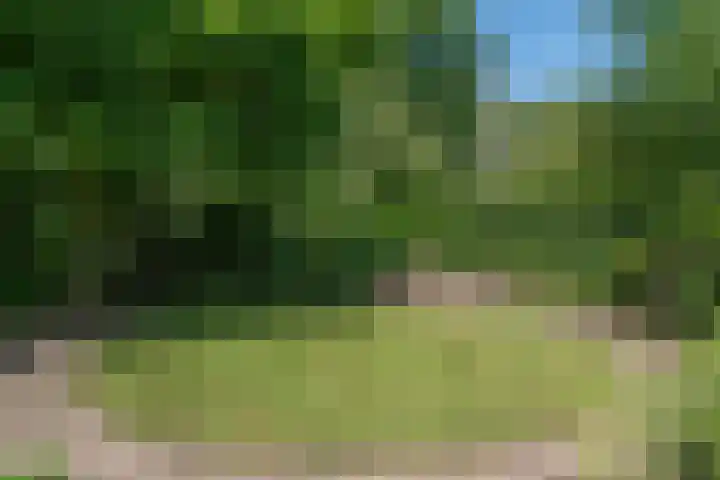 Cauberg 8 Zoetermeer thumbnail 44