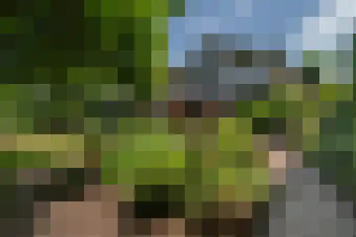 Cauberg 8 Zoetermeer thumbnail 46