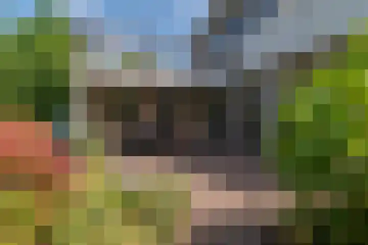 Cauberg 8 Zoetermeer thumbnail 48