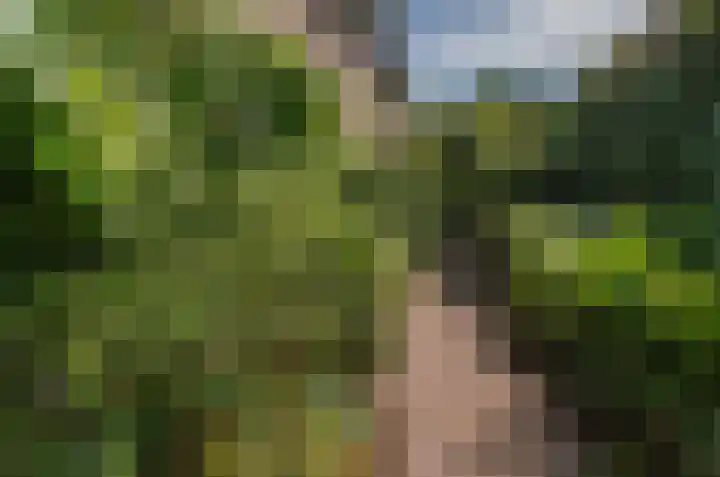 Cauberg 8 Zoetermeer thumbnail 49
