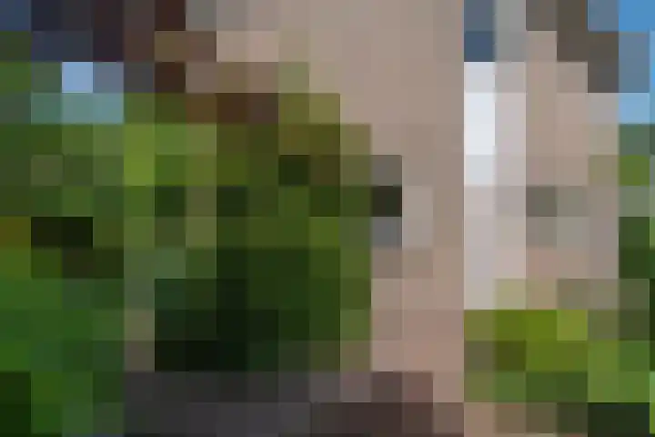 Cauberg 8 Zoetermeer thumbnail 50