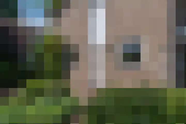 Cauberg 8 Zoetermeer thumbnail 51