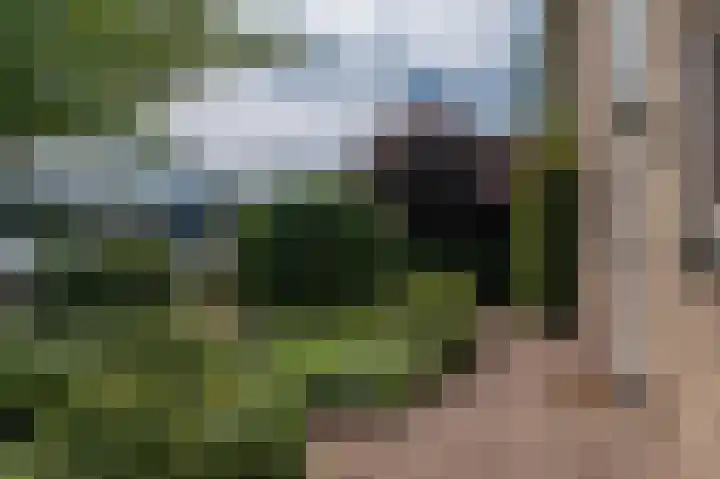 Cauberg 8 Zoetermeer thumbnail 52