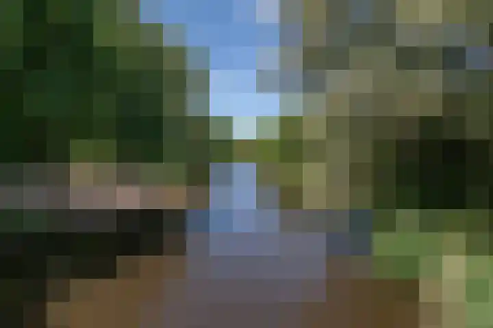Cauberg 8 Zoetermeer thumbnail 56