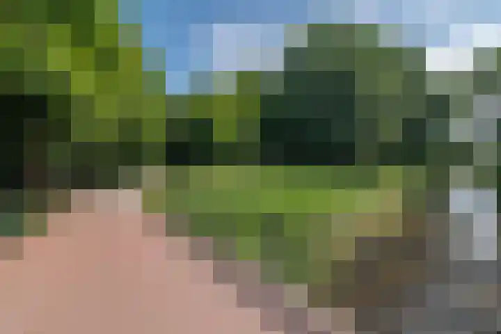 Cauberg 8 Zoetermeer thumbnail 57