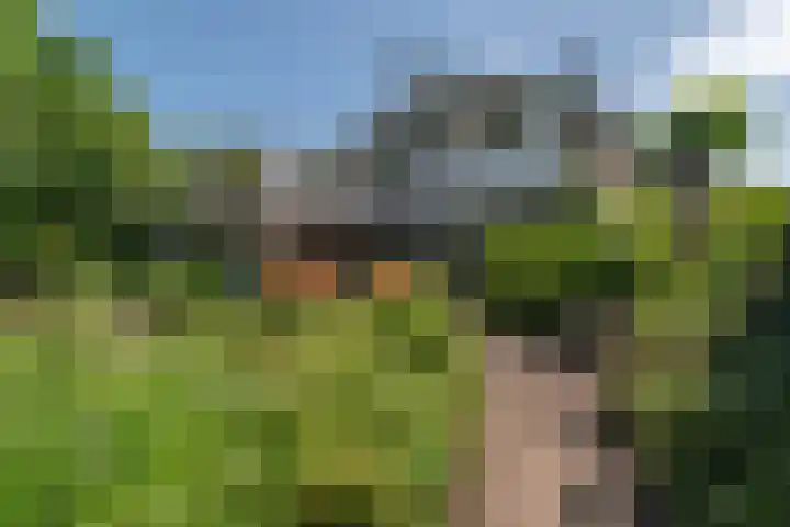 Cauberg 8 Zoetermeer thumbnail 59