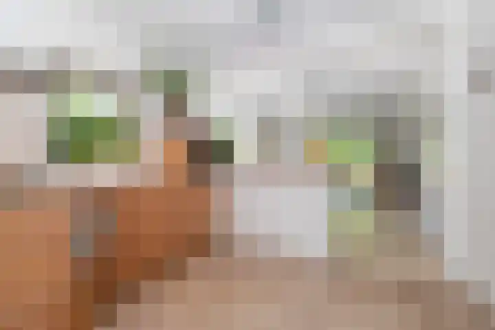 Cauberg 8 Zoetermeer thumbnail 8