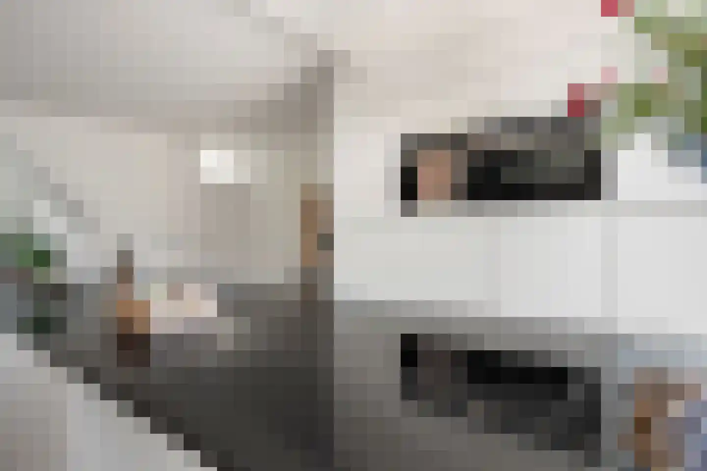 Caumerbeek 11 Geleen thumbnail 17