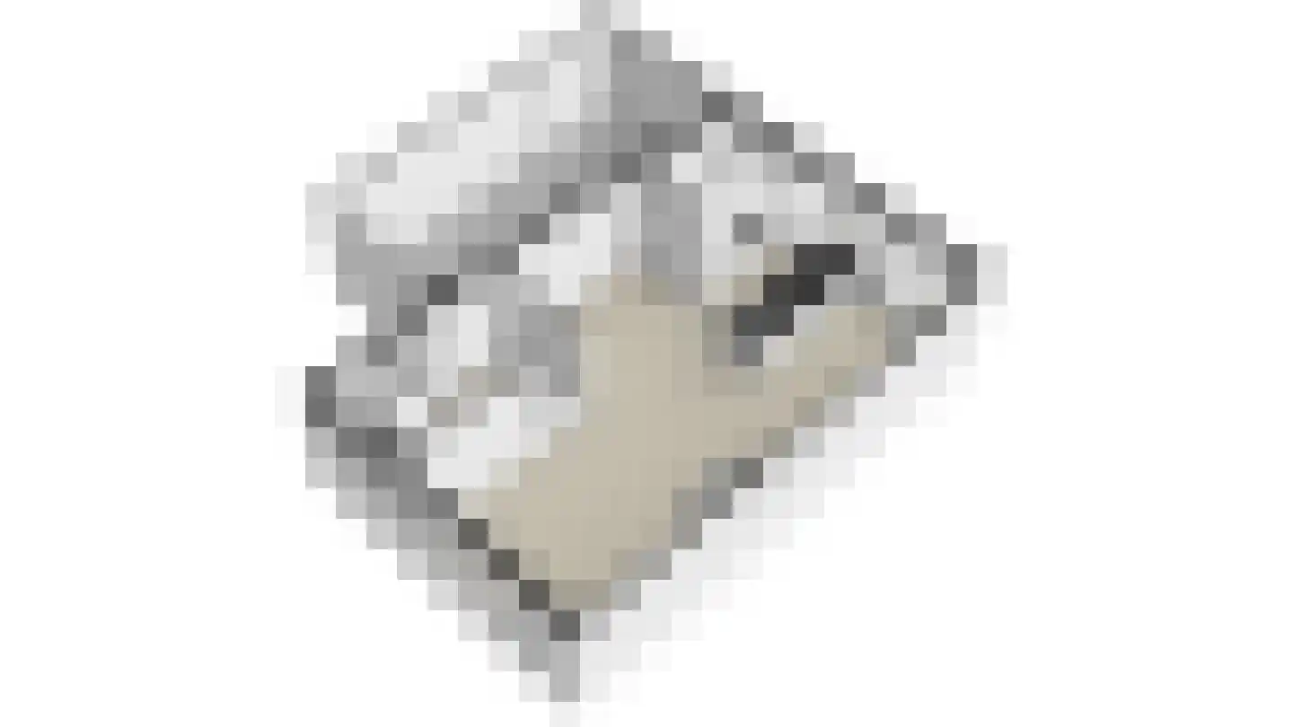 Caumerbeek 11 Geleen thumbnail 47