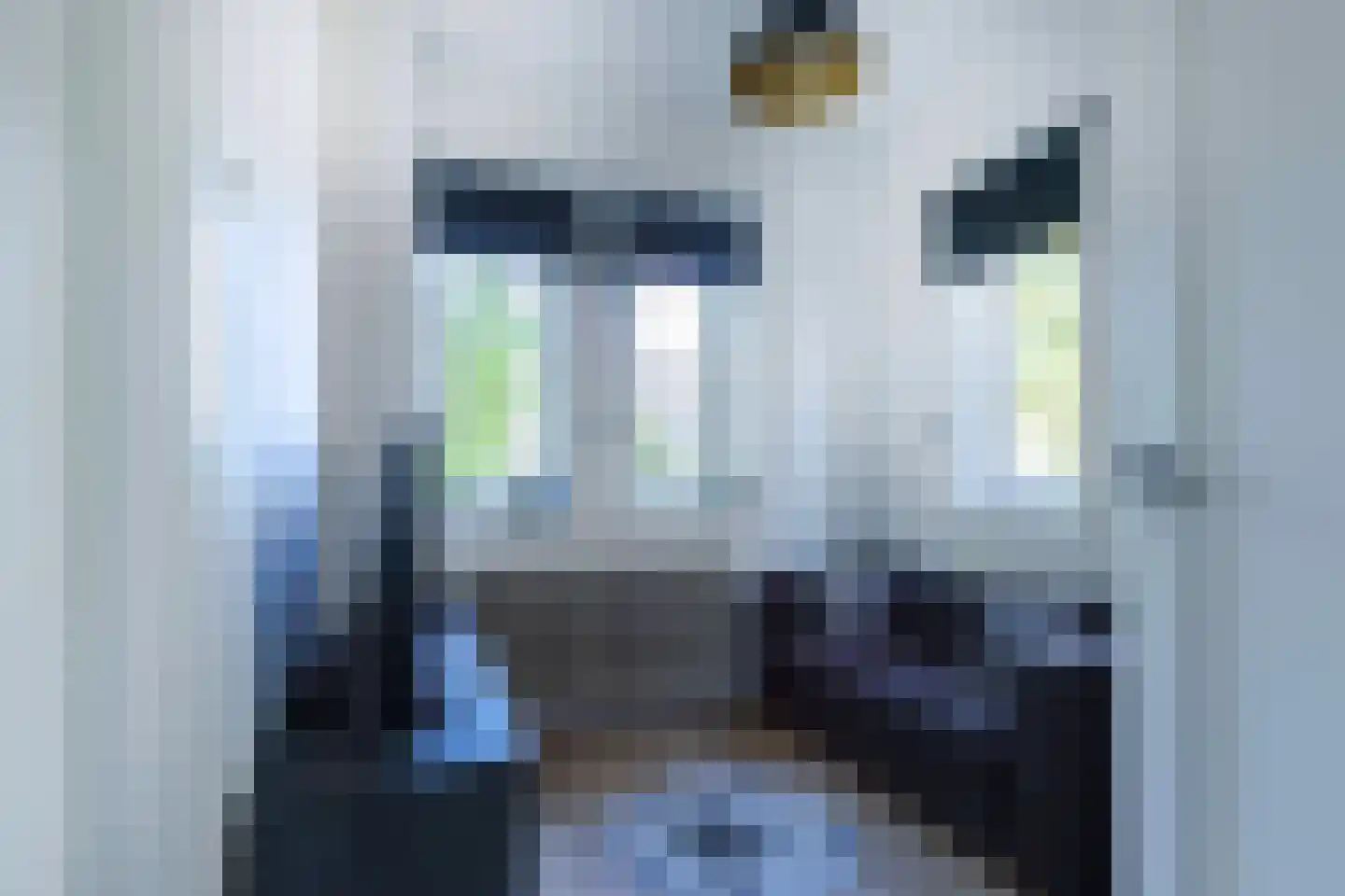 Caumerbeeklaan 18 Heerlen thumbnail 22