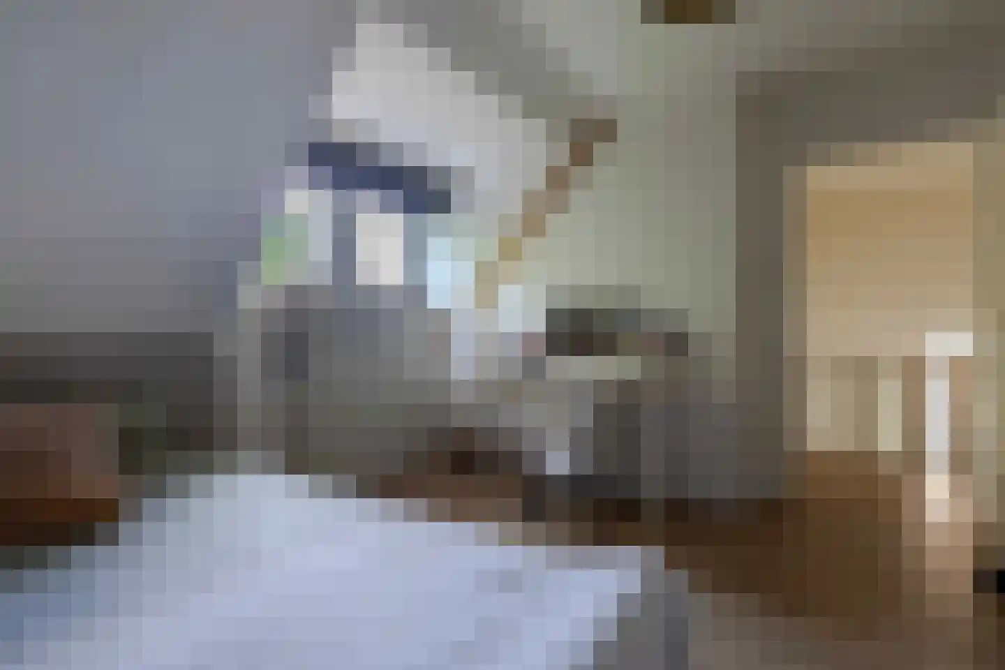 Caumerbeeklaan 18 Heerlen thumbnail 40