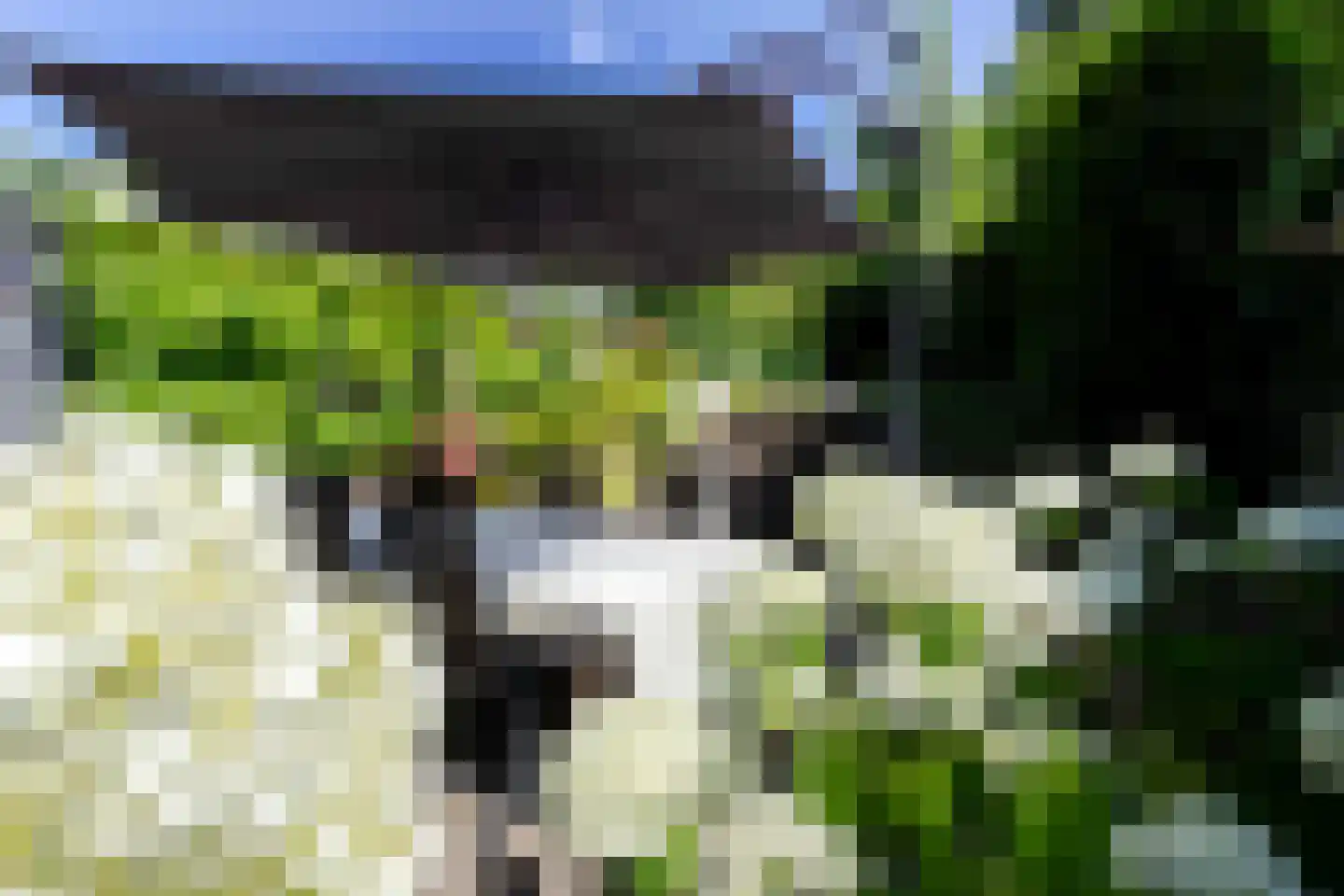 Caumerbeeklaan 18 Heerlen thumbnail 43