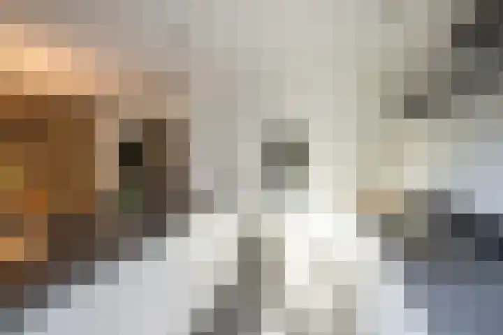 Caumerbeeklaan 26 Heerlen thumbnail 10