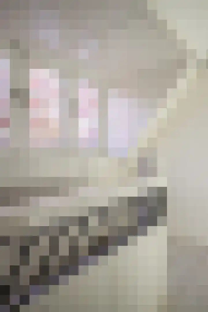 Caumerbeeklaan 26 Heerlen thumbnail 20