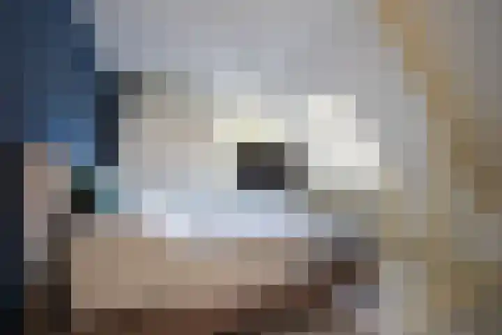 Caumerbeeklaan 26 Heerlen thumbnail 22