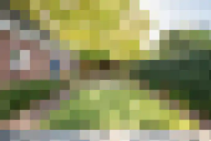 Caumerbeeklaan 26 Heerlen thumbnail 27