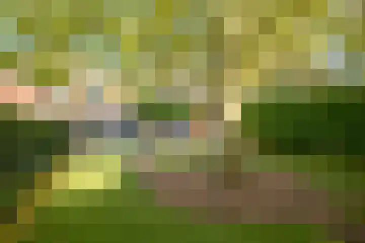Caumerbeeklaan 26 Heerlen thumbnail 28