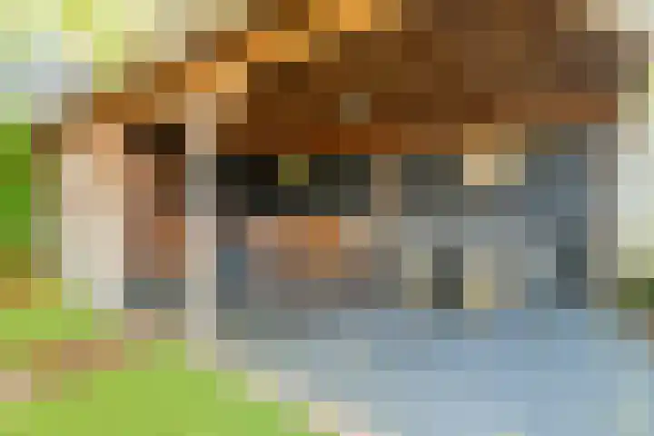 Caumerbeeklaan 26 Heerlen thumbnail 29