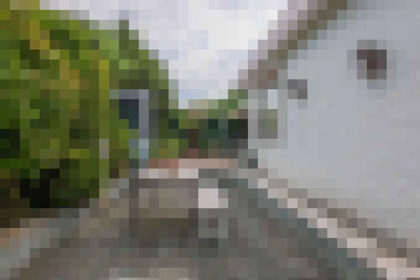 Caumerboord 30 Heerlen thumbnail 32