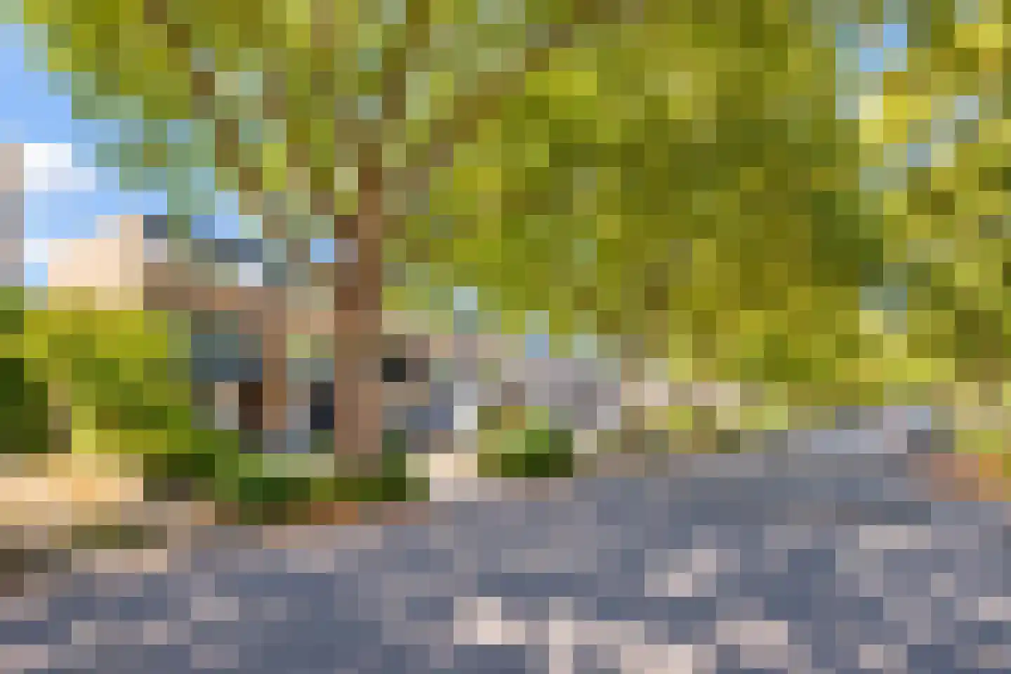 Caumerboord 39 Heerlen thumbnail 20