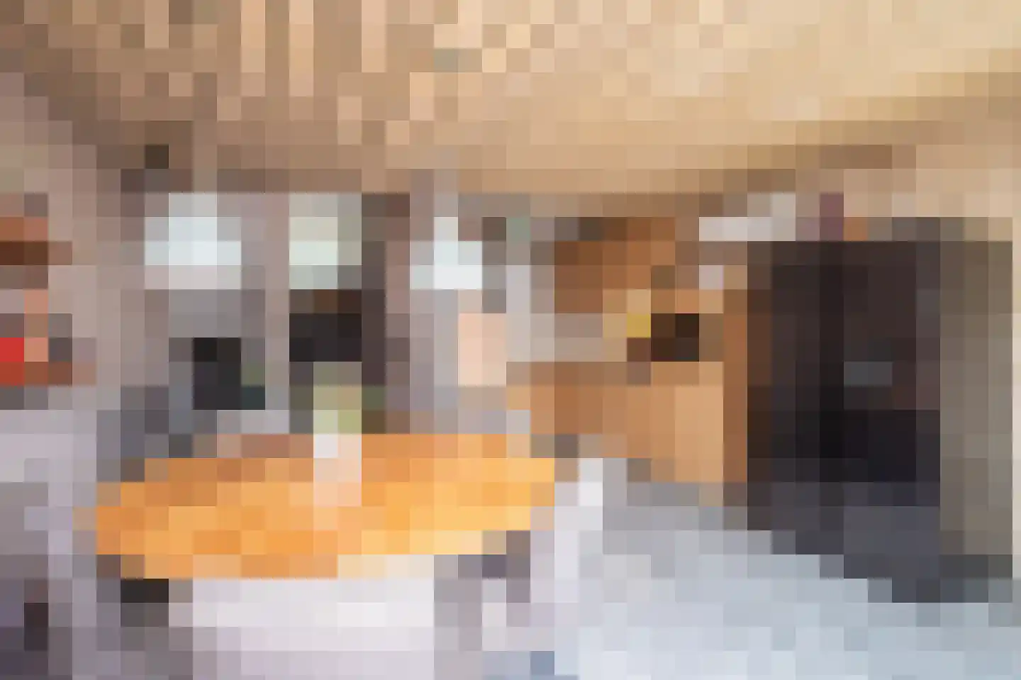 Caumerboord 39 Heerlen thumbnail 8