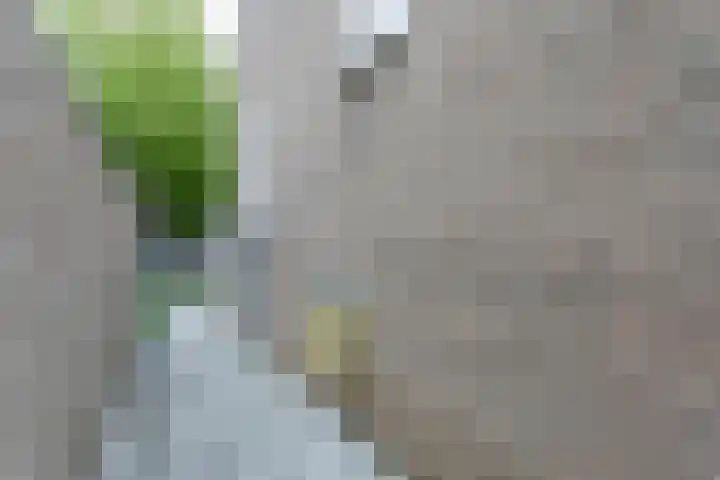 Caumerboord 43 Heerlen thumbnail 24