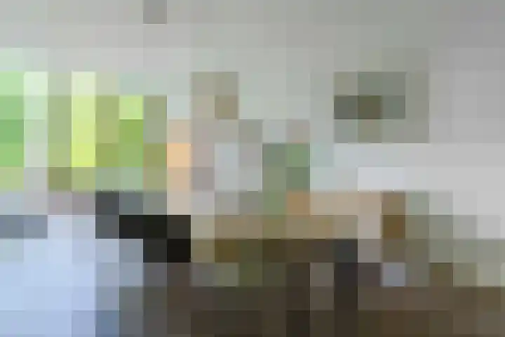 Caumermolenweg 23 Heerlen thumbnail 13