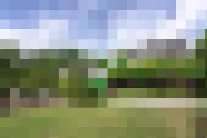 Caumermolenweg 23 Heerlen thumbnail 4