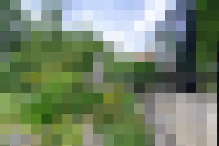 Caumermolenweg 23 Heerlen thumbnail 41