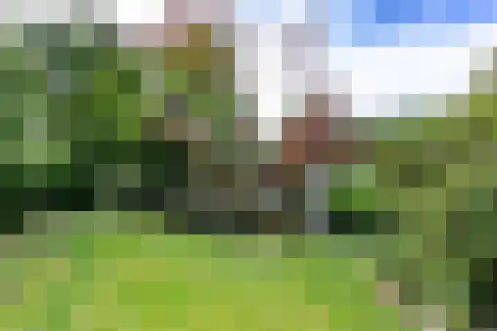 Caumermolenweg 23 Heerlen thumbnail 45