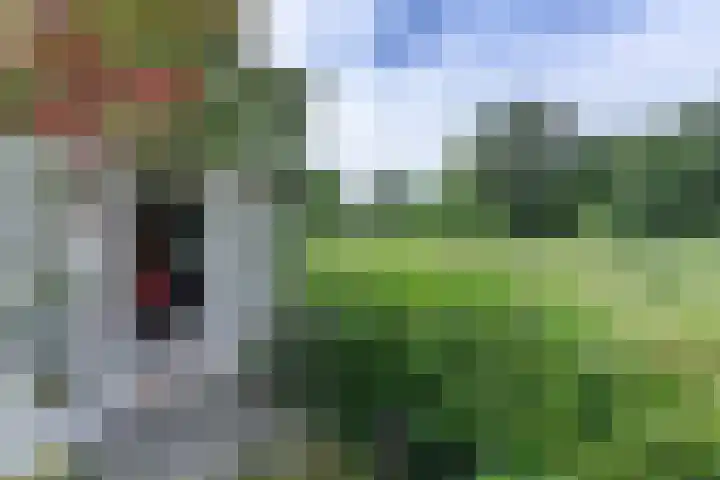 Caumermolenweg 23 Heerlen thumbnail 46