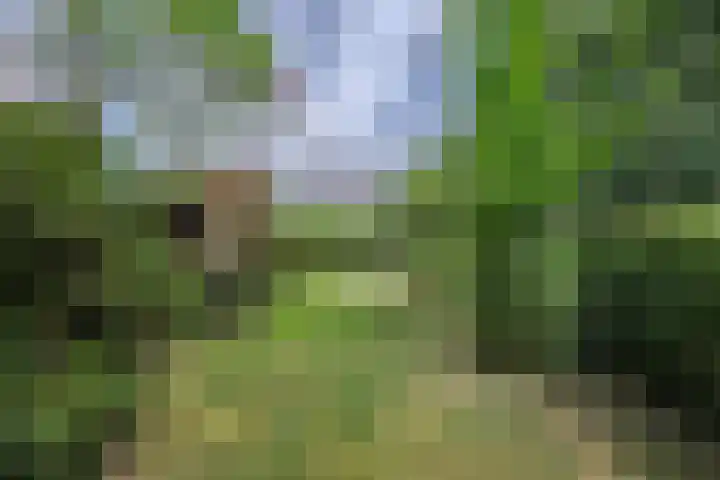 Caumermolenweg 23 Heerlen thumbnail 48