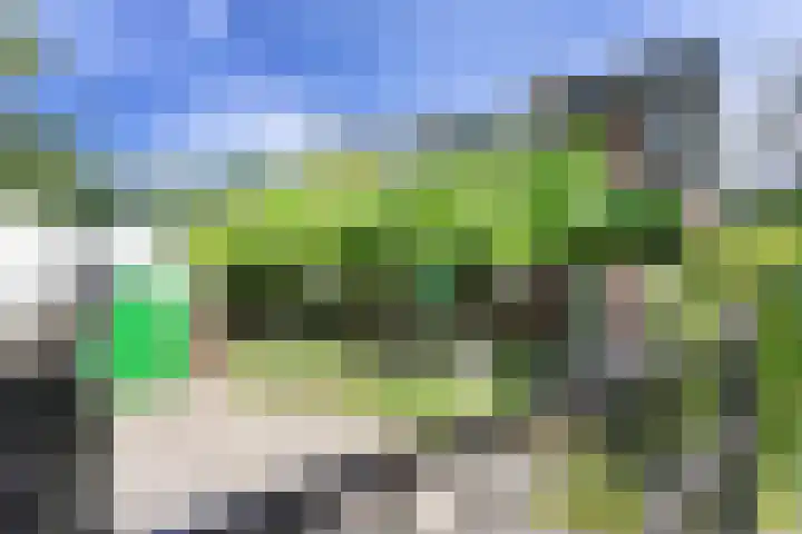 Caumermolenweg 23 Heerlen thumbnail 5